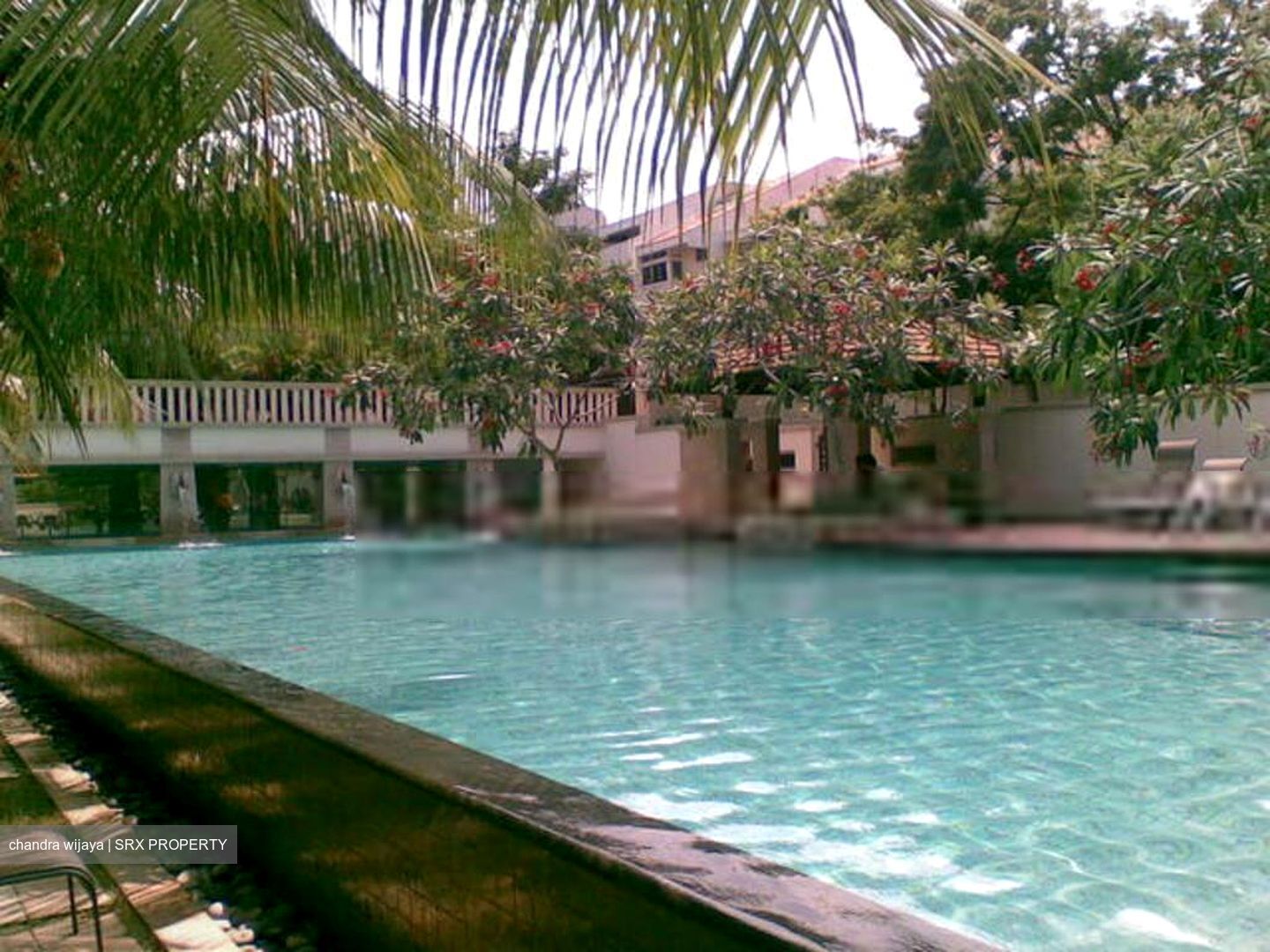 Amaninda (D11), Condominium #455741591